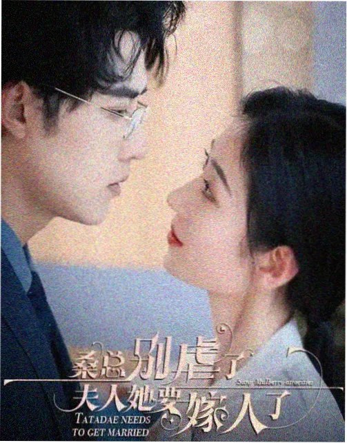 03影院港剧雾港迷踪封面