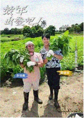 03影院美食综艺厨房夜话封面